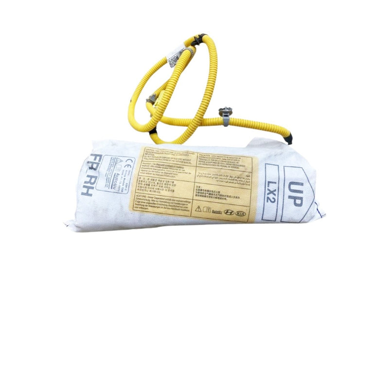 2020-2025 Hyundai Palisade Passenger Seat Side Airbag - Airbag Depot