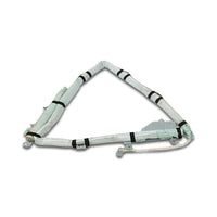 2011 - 2012 Nissan Leaf Driver Roof Curtain Airbag - Airbag Depot